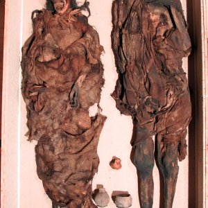 Mummies and Murders: Unveiling a 1,000-Year-Old Crime Scene in South America Mummies and Murders: Unveiling a 1,000-Year-Old Crime Scene in South America