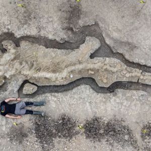 180-Million-Year-Old Sea Dragon Fossil Is Largest and Most Complete Ever Found in UK 180-Million-Year-Old Sea Dragon Fossil Is Largest and Most Complete Ever Found in UK