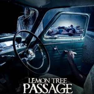 Film Review: Lemon Tree Pᴀssage (2013) Film Review: Lemon Tree Pᴀssage (2013)