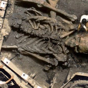Ancient giant revealed: Archaeologists unearth giant skeleton and ‘mobile phone’, revealing incredible evidence of a forgotten era.mariko Ancient giant revealed: Archaeologists unearth giant skeleton and ‘mobile phone’, revealing incredible evidence of a forgotten era.mariko