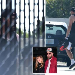 EXCLUSIVETravis Kelce spotted pumping iron in Florida without Taylor Swift as he tries to shake off his post Super Bowl dad bod EXCLUSIVETravis Kelce spotted pumping iron in Florida without Taylor Swift as he tries to shake off his post Super Bowl dad bod