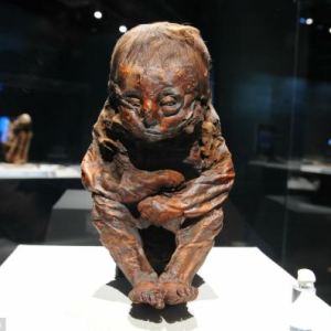 Body of 6,500-year-old baby goes on show in world’s biggest mummy exhibition Body of 6,500-year-old baby goes on show in world’s biggest mummy exhibition