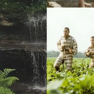 O Brother, Where Art Thou? O Brother, Where Art Thou?
