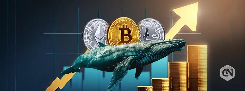 Historic Uptober is here; what coins are whales buying? Historic Uptober is here; what coins are whales buying?