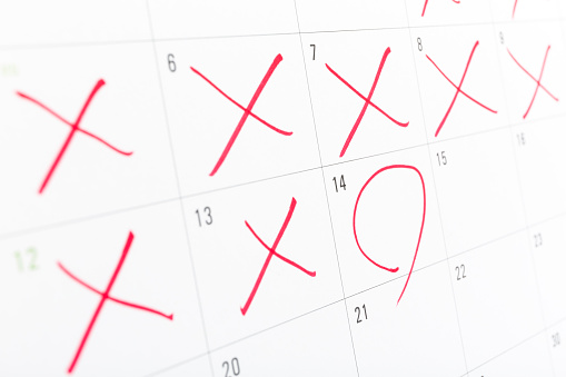 Summary 11/11 – 11/15 Summary 11/11 – 11/15