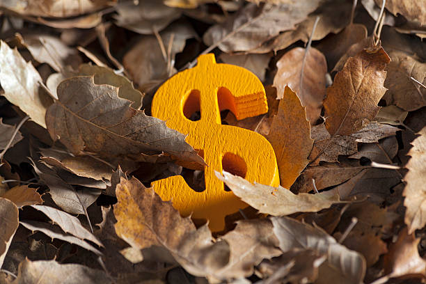 Dollar Dominance Temporarily Halts Pre-Election, Upside Potential Remains Dollar Dominance Temporarily Halts Pre-Election, Upside Potential Remains