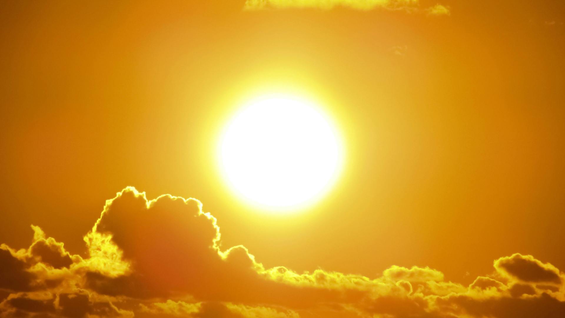 Solana Comeback Sparks Buzz With 2,500% Surge Projection Solana Comeback Sparks Buzz With 2,500% Surge Projection
