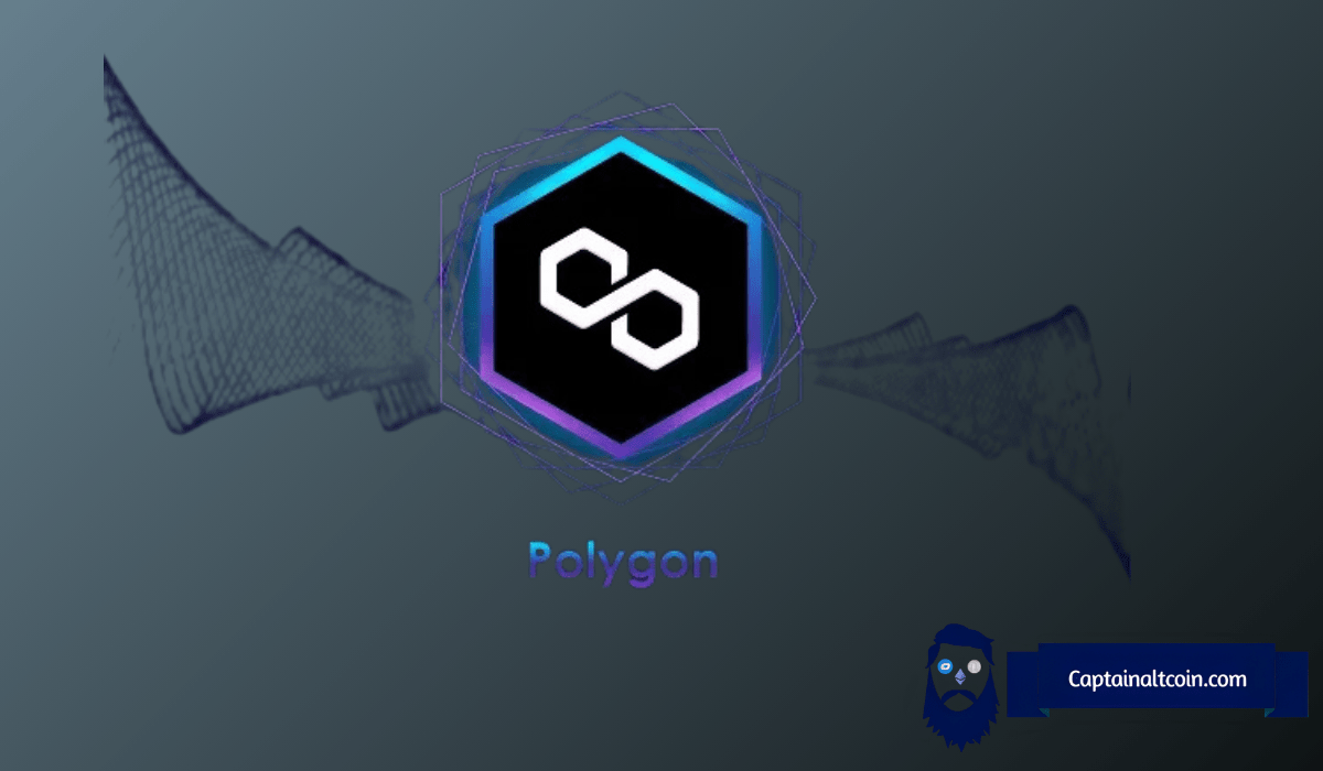 Polygon Whales Go On a Massive Buying Spree – Will POL Price Pump? Polygon Whales Go On a Massive Buying Spree – Will POL Price Pump?