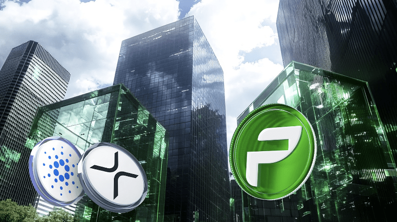 Smart Money Bets Big on PCHAIN, Cardano, and XRP to Secure Millions in Profits for Their Portfolio by Q1 2025 Smart Money Bets Big on PCHAIN, Cardano, and XRP to Secure Millions in Profits for Their Portfolio by Q1 2025
