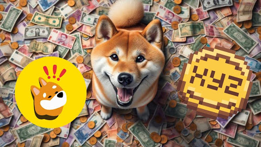 Dogecoin Millionaire Reveals BONK and XYZVerse as the Next Big Movers in 2025! Dogecoin Millionaire Reveals BONK and XYZVerse as the Next Big Movers in 2025!