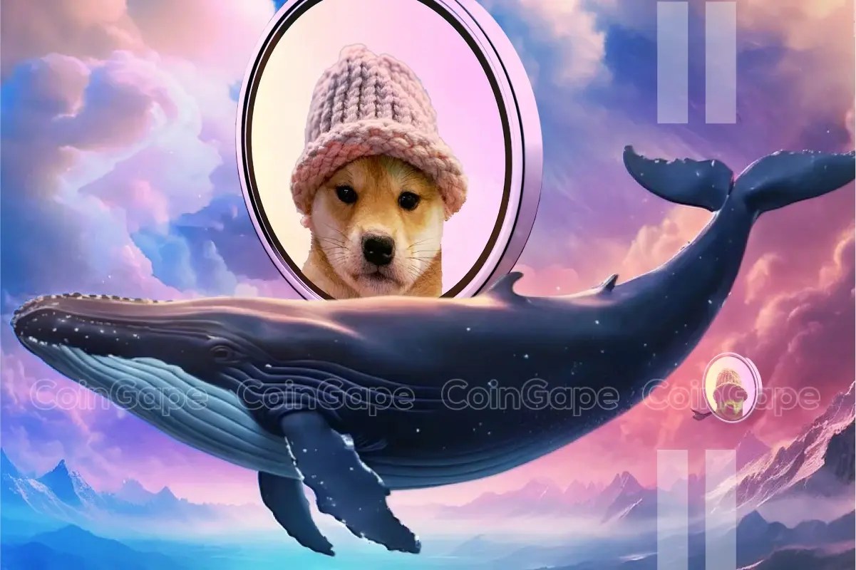 Dogwifhat Whale Bags M WIF, Price To Gain 20% Ahead? Dogwifhat Whale Bags M WIF, Price To Gain 20% Ahead?