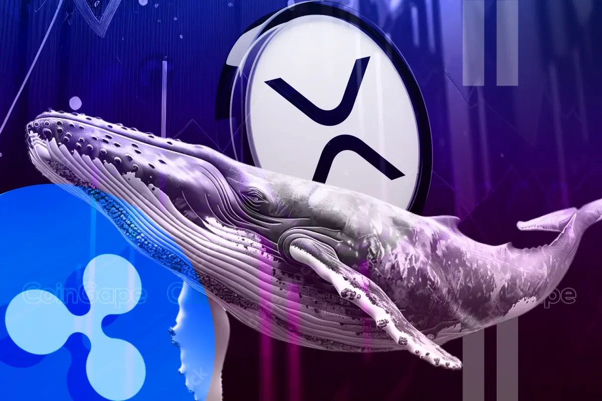 XRP Whales Bag Over 120M Coins Sparking Optimism, More Gains Ahead? XRP Whales Bag Over 120M Coins Sparking Optimism, More Gains Ahead?