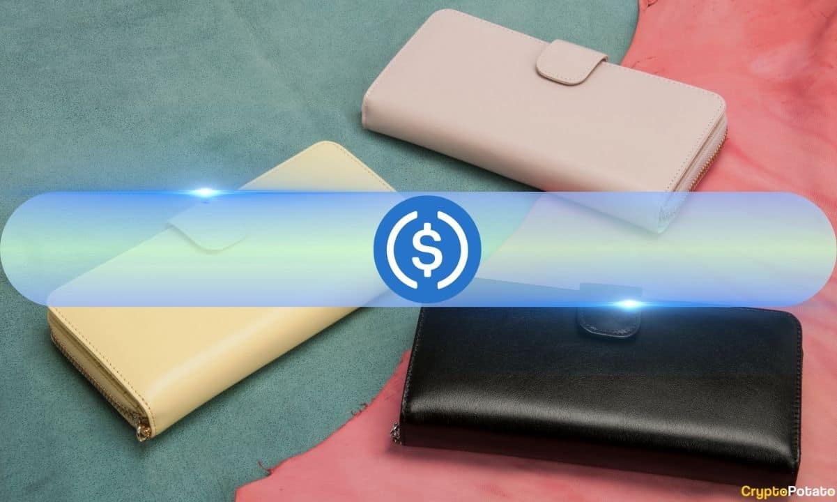 Circulation Grows Across Solana, Ethereum Layer 2s Circulation Grows Across Solana, Ethereum Layer 2s
