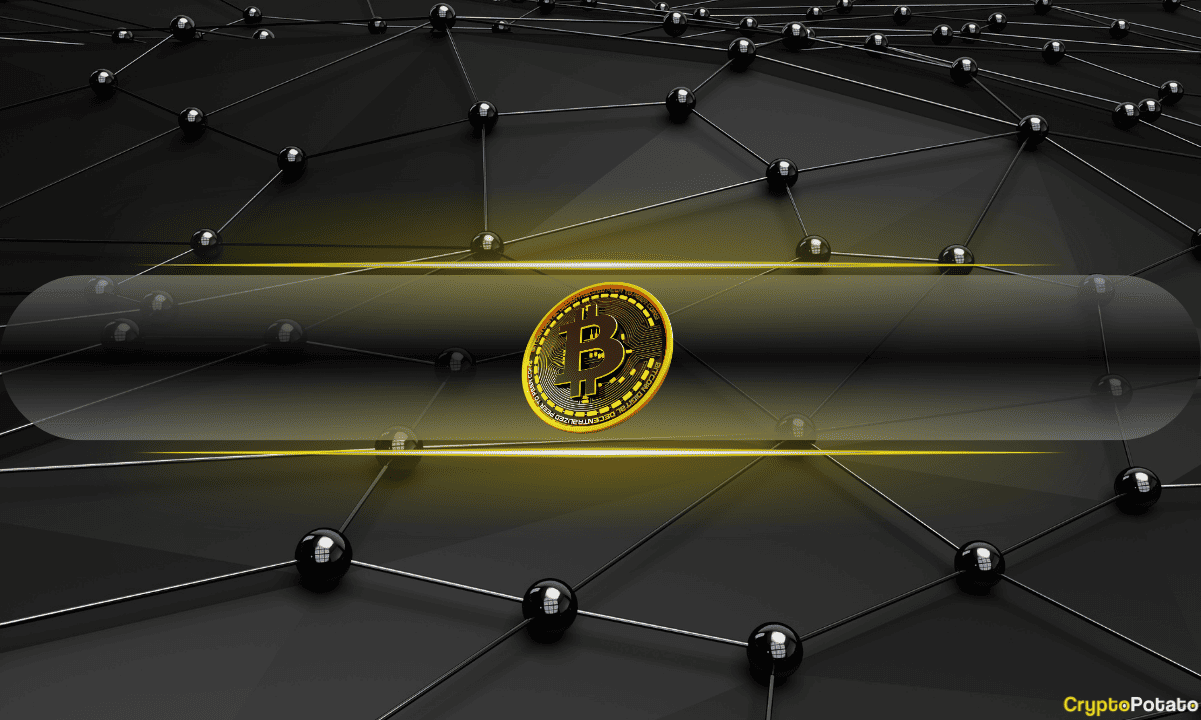 Tariffs to Fuel Bitcoin Surge, Says Bitwise Strategist Tariffs to Fuel Bitcoin Surge, Says Bitwise Strategist