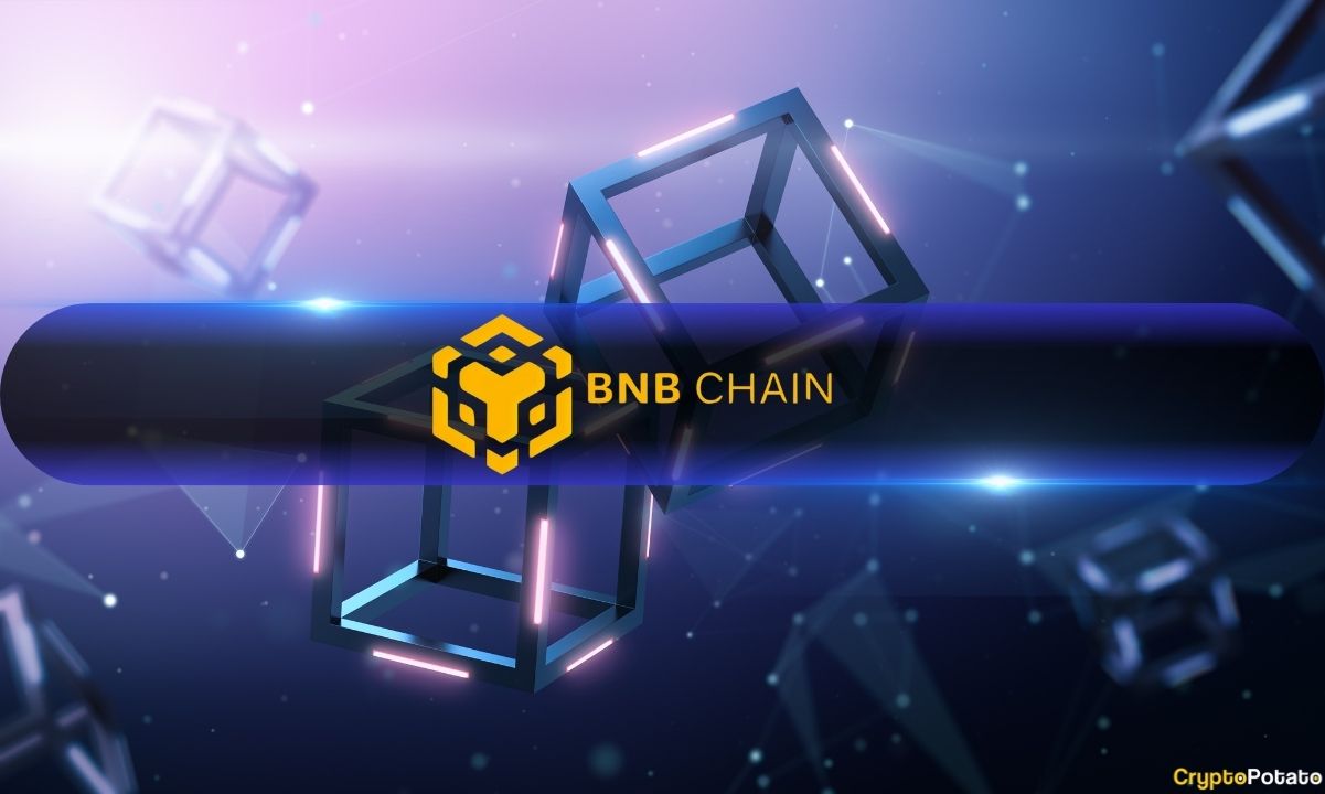 BNB Chain Plans Faster Blocks, Gasless Transactions, and AI for 2025 Upgrade BNB Chain Plans Faster Blocks, Gasless Transactions, and AI for 2025 Upgrade