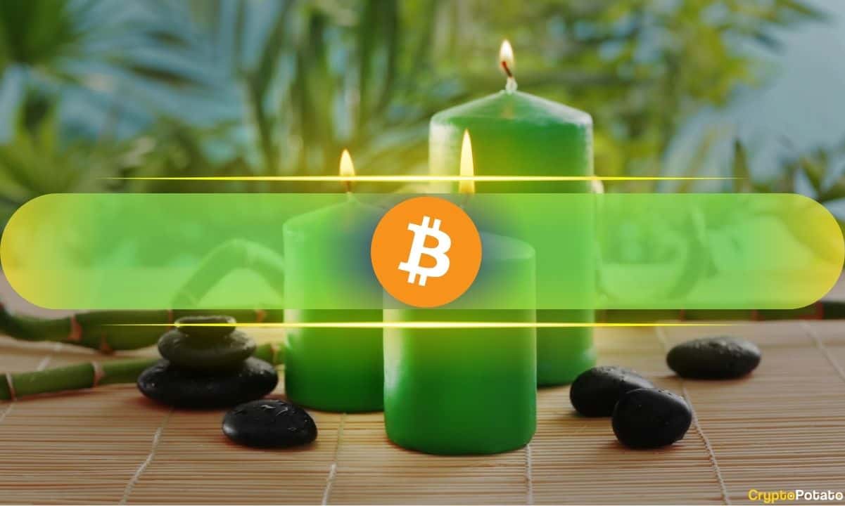 What Does This Mean? (Bitfinex) What Does This Mean? (Bitfinex)