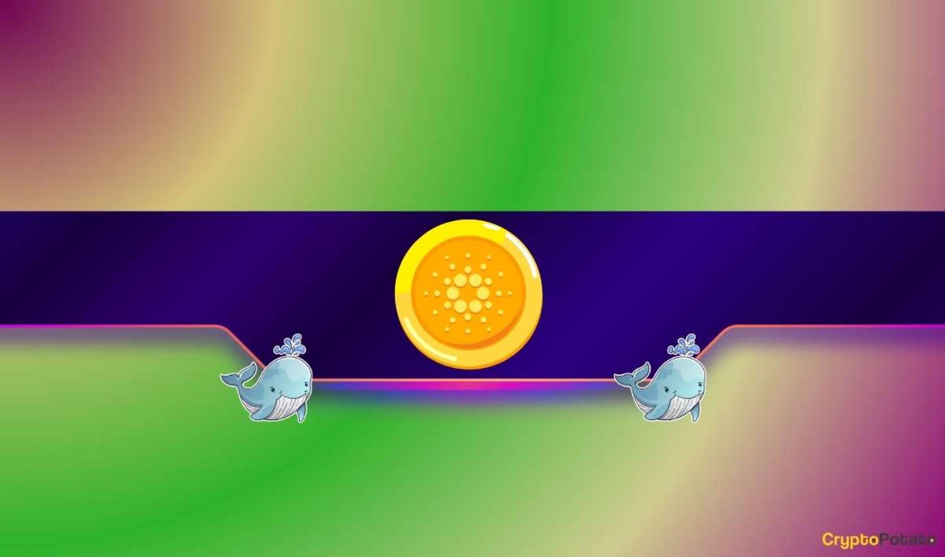 Cardano Whales Fill Their Bags: ADA Bull Run Incoming? Cardano Whales Fill Their Bags: ADA Bull Run Incoming?