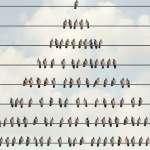 SEC Drops the Hammer on 8 Million Crypto Ponzi Scheme SEC Drops the Hammer on 8 Million Crypto Ponzi Scheme