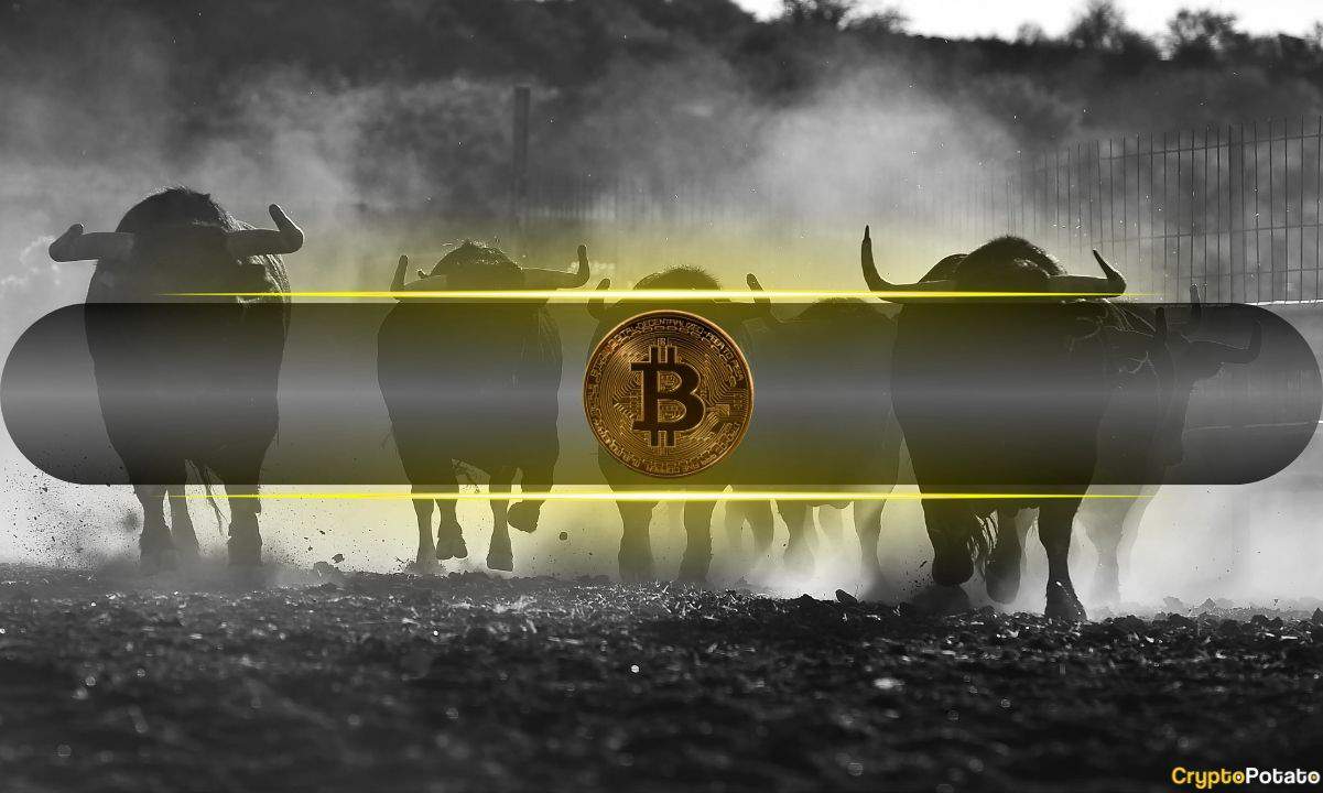 Bitcoin’s Next Rally Around the Corner as Stablecoin Liquidity Expands: CryptoQuant Bitcoin’s Next Rally Around the Corner as Stablecoin Liquidity Expands: CryptoQuant