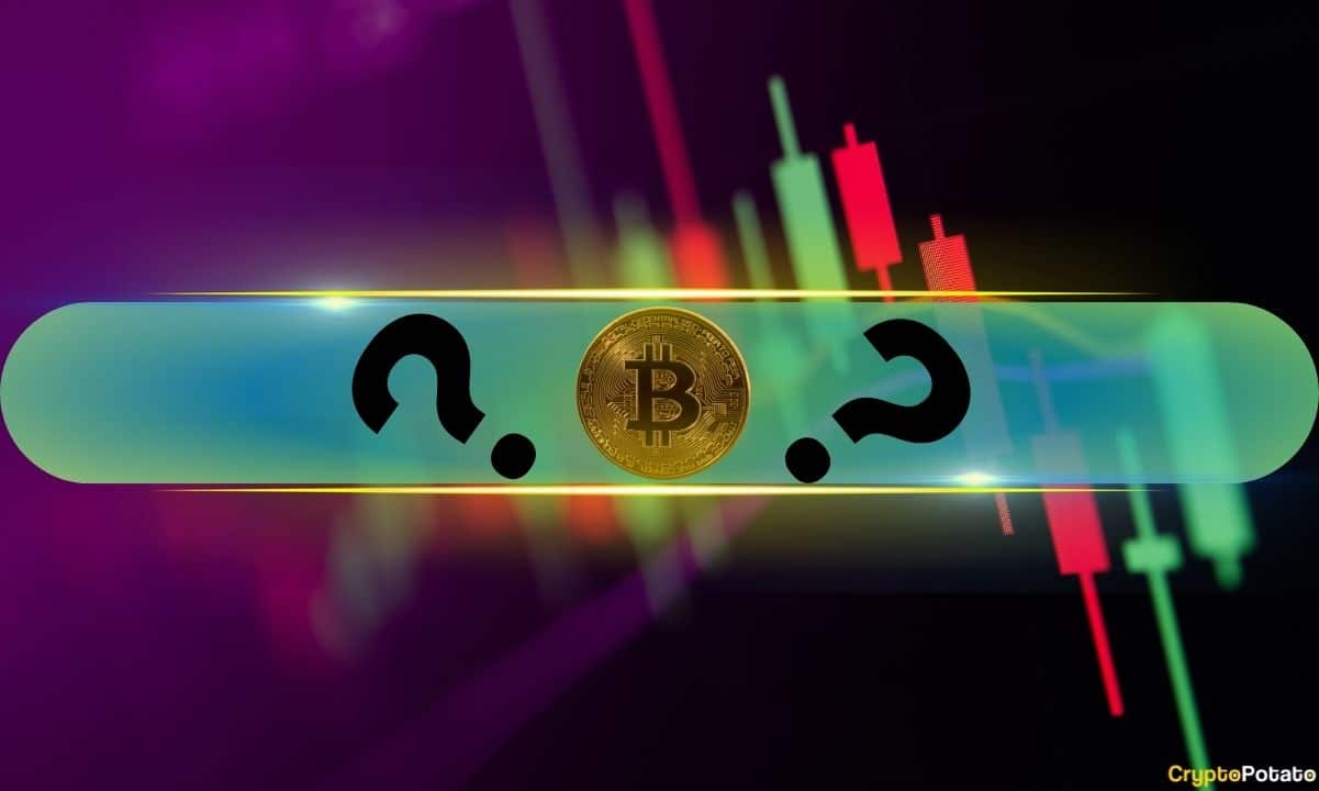 These Alts Surge by Double Digits as Bitcoin (BTC) Calms After New All-Time High (Market Watch) These Alts Surge by Double Digits as Bitcoin (BTC) Calms After New All-Time High (Market Watch)