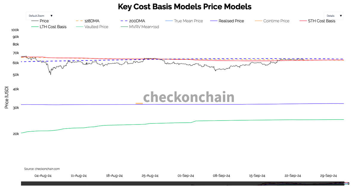 Bitcoin hits support from key level at short-term holder cost basis Bitcoin hits support from key level at short-term holder cost basis