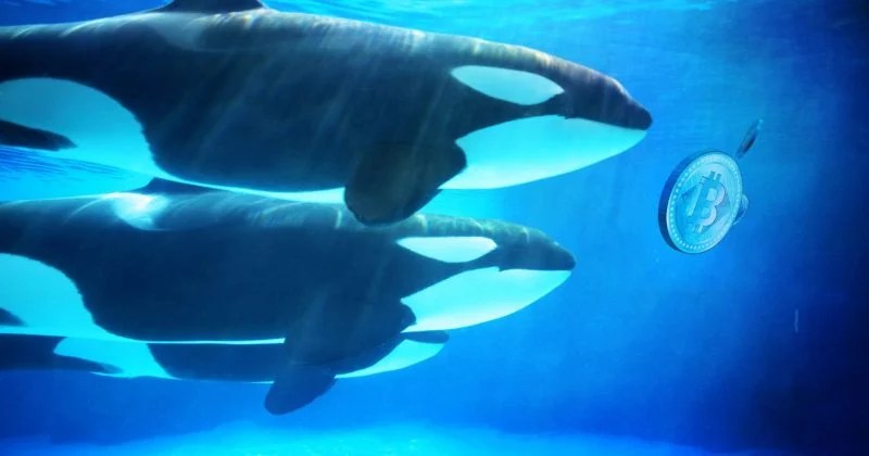 Hyperliquid whale denies cybercrime claims, ZachXBT to release evidence Hyperliquid whale denies cybercrime claims, ZachXBT to release evidence