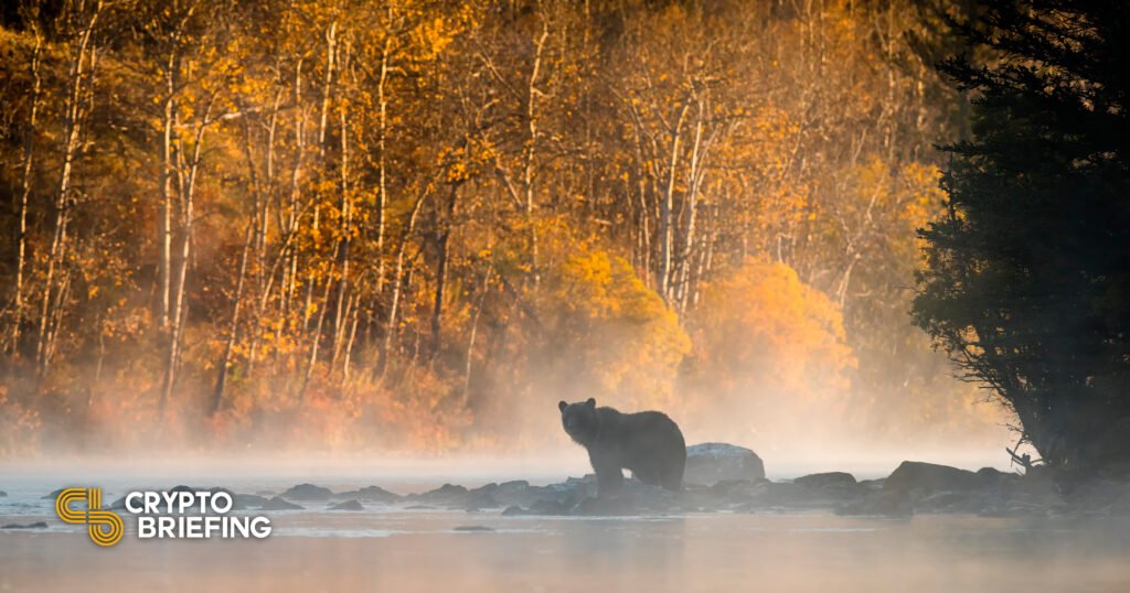 Crypto Winter Is Rough. Here Are Five Essential Survival Tips Crypto Winter Is Rough. Here Are Five Essential Survival Tips