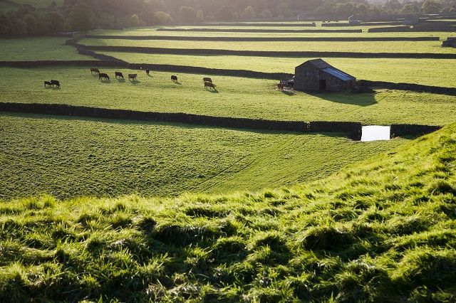 farmland farmland