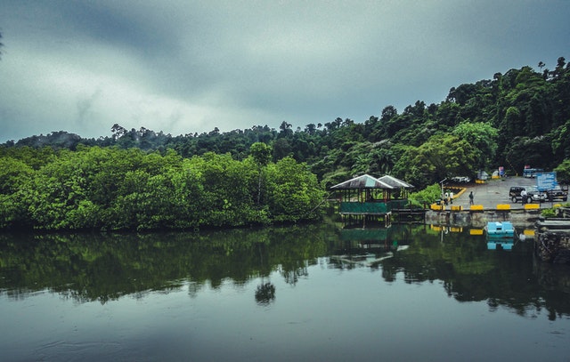 Monsoons Monsoons