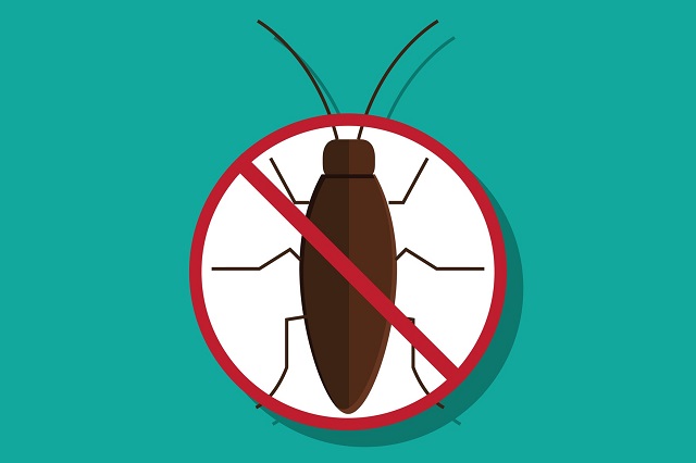 Curbing the issue of terrifying Wasps Curbing the issue of terrifying Wasps
