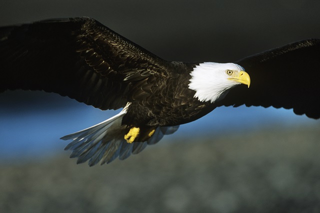 Tibetan Sky Burial Tibetan Sky Burial