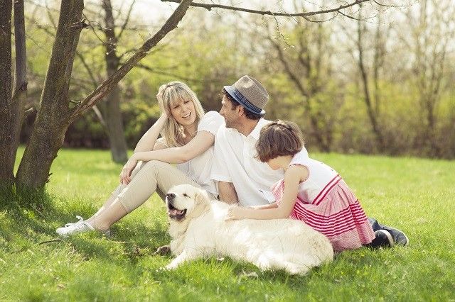 Is Vegan Dog Food a Good Choice? Is Vegan Dog Food a Good Choice?