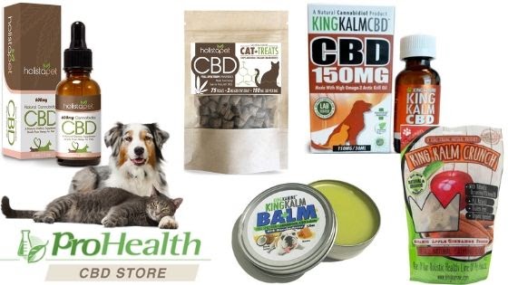 Benefits of CBD For Pets Benefits of CBD For Pets