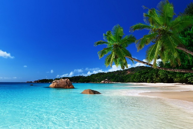 Jamaica Jamaica