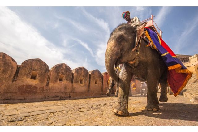 10 Best Travel Agencies in India for Holidays and Honeymoon. 10 Best Travel Agencies in India for Holidays and Honeymoon.