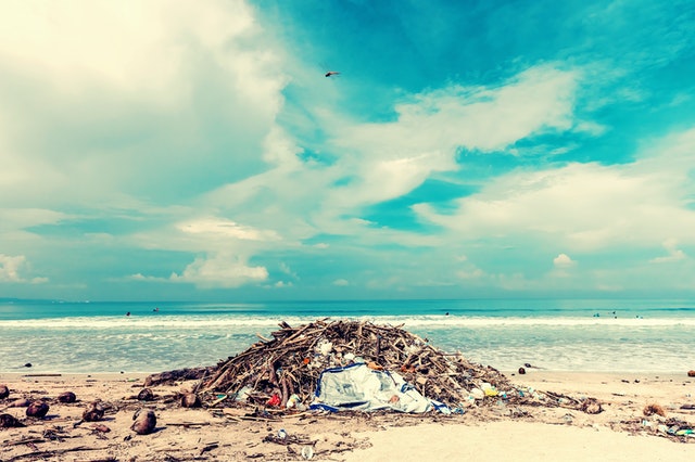 Junk Removal Service Junk Removal Service