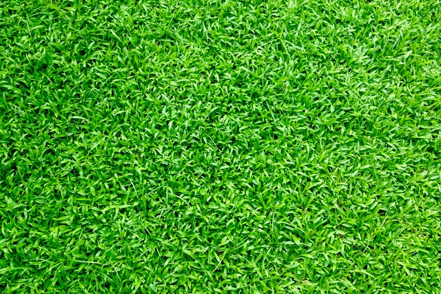 Artificial Grass Artificial Grass