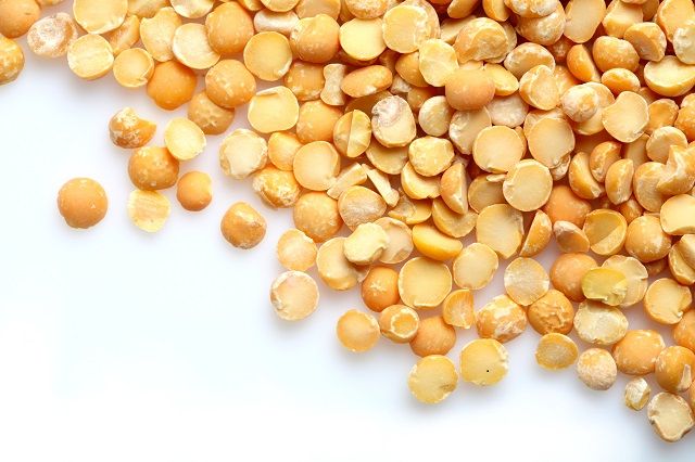 Protein Protein