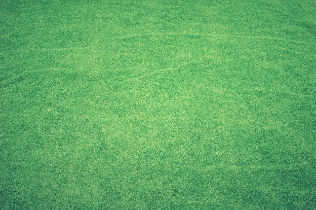 artificial turf artificial turf