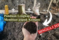 Rahasia Membuat Pupuk Kompos Berkualitas dengan Starter EM4: Panduan Lengkap untuk Hasil Maksimal! Rahasia Membuat Pupuk Kompos Berkualitas dengan Starter EM4: Panduan Lengkap untuk Hasil Maksimal!