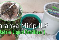 Sulap Gulma Jadi Emas Hijau: Panduan Lengkap Membuat Pupuk Cair dari Rumput Liar Sulap Gulma Jadi Emas Hijau: Panduan Lengkap Membuat Pupuk Cair dari Rumput Liar