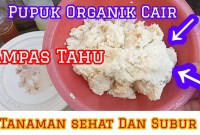 Jangan Dibuang! Cara Jitu Membuat Pupuk Organik Super dari Ampas Tahu Jangan Dibuang! Cara Jitu Membuat Pupuk Organik Super dari Ampas Tahu