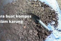 Rahasia Pupuk Kompos dalam Karung Bekas: Panduan Lengkap untuk Kebun Subur Rahasia Pupuk Kompos dalam Karung Bekas: Panduan Lengkap untuk Kebun Subur