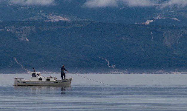 How Much Does It Cost To Ship Fish From Alaska? How Much Does It Cost To Ship Fish From Alaska?
