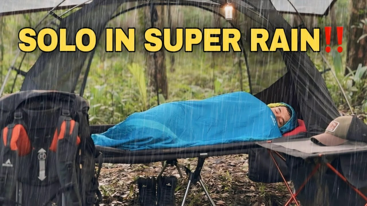 50 Most Viewed ASMR Videos – Week 18, 2025 50 Most Viewed ASMR Videos – Week 18, 2025