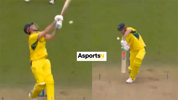 ENG Vs AUS: मिचेल मार्श के नए लुक ने मचाया तहलका, देखें वीडियो ENG Vs AUS: मिचेल मार्श के नए लुक ने मचाया तहलका, देखें वीडियो