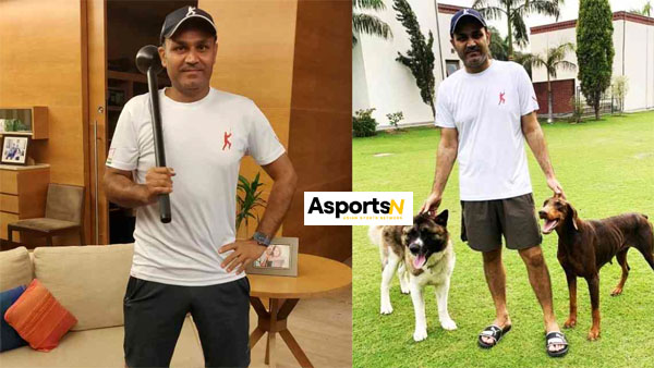 Virender Sehwag’s bungalow: राजा महाराजा से कम नहीं, वीरेंद्र सहवाग के बंगले की कीमत और अंदर की तस्वीर आपकी आंखें फाड़ देगी। Virender Sehwag’s bungalow: राजा महाराजा से कम नहीं, वीरेंद्र सहवाग के बंगले की कीमत और अंदर की तस्वीर आपकी आंखें फाड़ देगी।