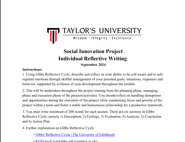 Social Innovation Project Individual Reflective Writing Social Innovation Project Individual Reflective Writing