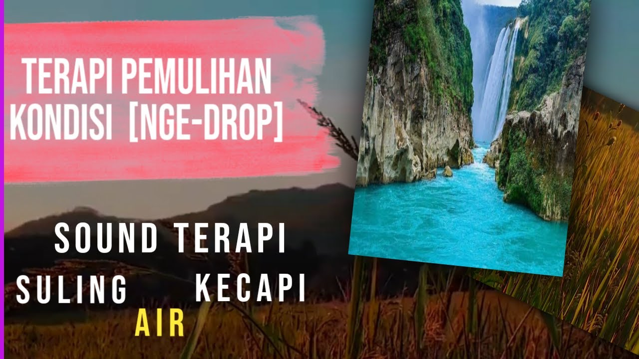 Pemanfaatan Terapi Air Dan Udara Untuk Pemulihan Burung Sakit Pemanfaatan Terapi Air Dan Udara Untuk Pemulihan Burung Sakit