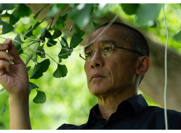 Tony Leung Already Wants to Reunite With His ’Silent Friend’ Helmer But Marvel Sequel Still Up in the Air: ‘I Go With the Flow’ (EXCLUSIVE) Tony Leung Already Wants to Reunite With His ’Silent Friend’ Helmer But Marvel Sequel Still Up in the Air: ‘I Go With the Flow’ (EXCLUSIVE)